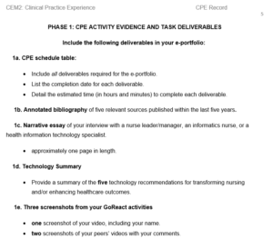 CEM2 — CEM2 Task 1: Clinical Practice Experience