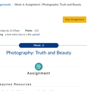 HUMN303NWeek 6: Assignment | Photography: Truth and Beauty