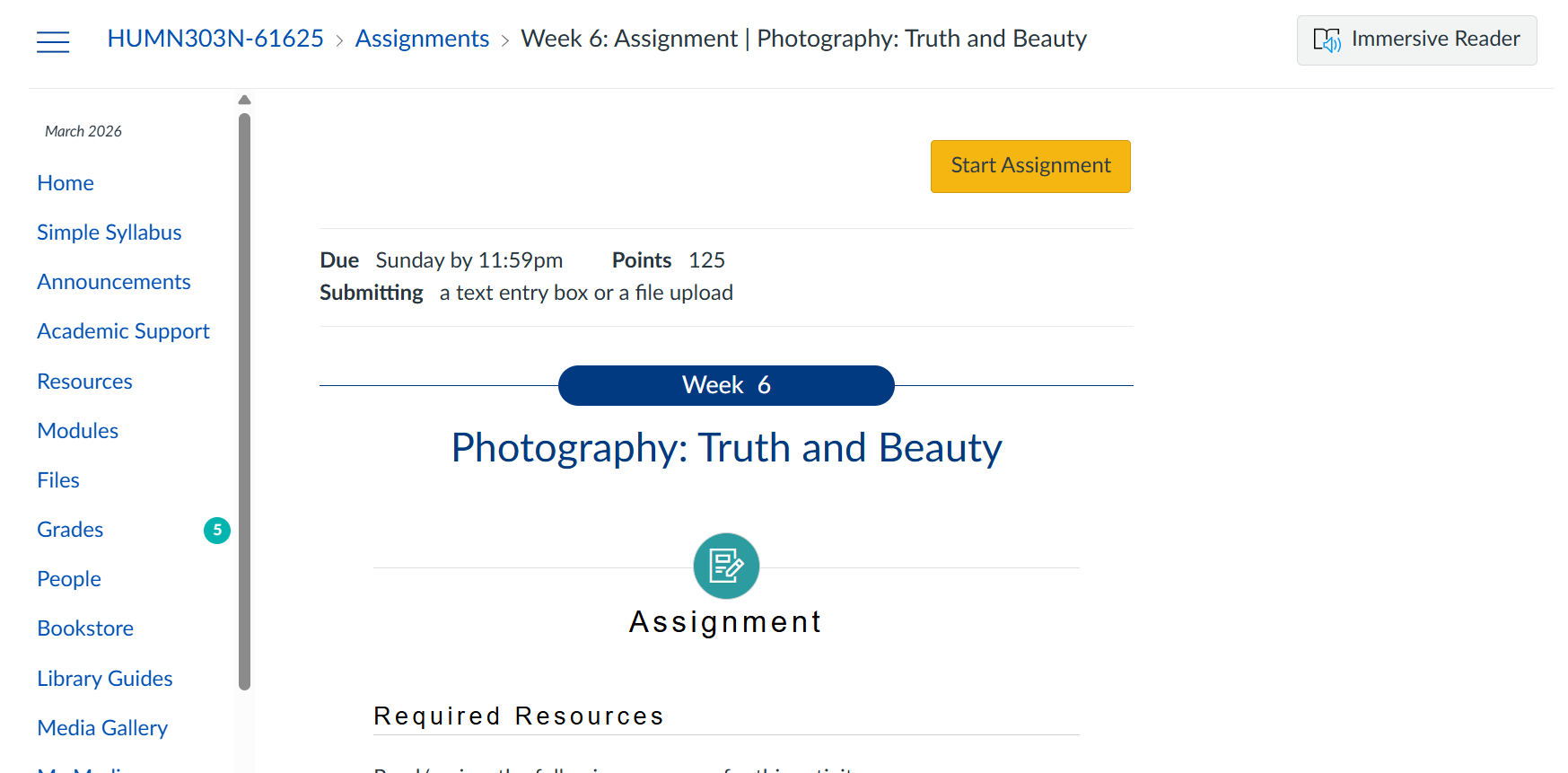 HUMN303NWeek 6: Assignment | Photography: Truth and Beauty