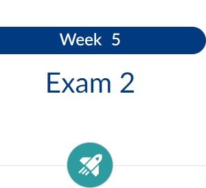 BIOS251OX week 5 exam 2